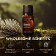 thumbnail image 5 of Gya Labs Silver Fir Essential Oil - 0.34 fl oz - for Hair, Skin, Diffuser, Aromatherapy & DIY Candle Making Scent, 5 of 8