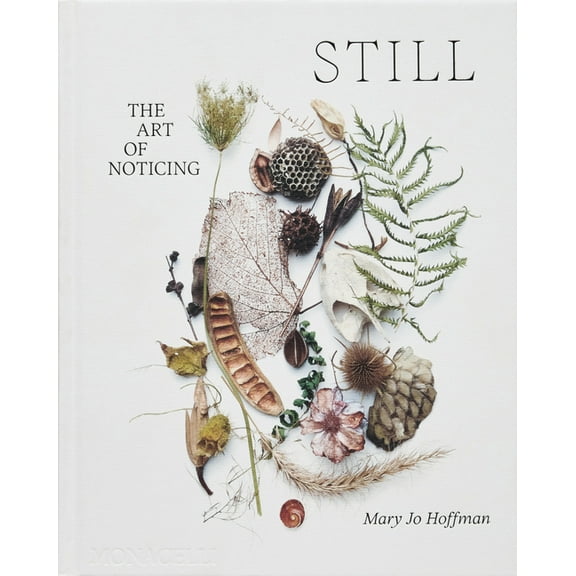 Still: The Art of Noticing, (Hardcover)