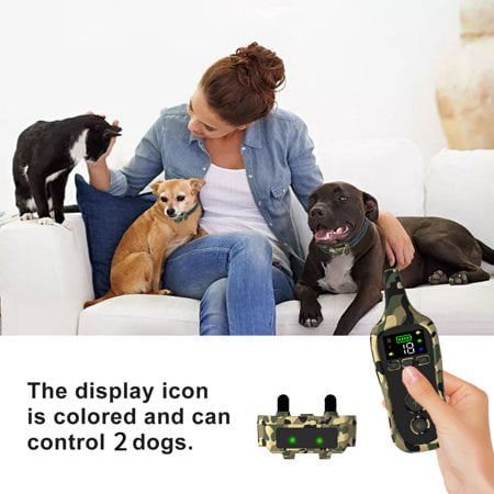 Collar For Dog Green
