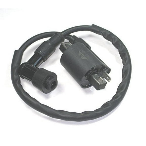 Lumix GC Ignition Coil Module Magneto For DINLI 50CC 90CC 110CC Dino Beast Diamond Back Atv Quad