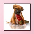 thumbnail image 2 of Cuadros Decorativos 11CT impreso bordado parcial perro travieso costura DIY Kit de punto de cruz Ehuebsd Nuevos Originales, 2 of 9
