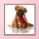 thumbnail image 1 of Cuadros Decorativos 11CT impreso bordado parcial perro travieso costura DIY Kit de punto de cruz Ndcxsfigh Nuevos Originales, 1 of 9