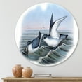 thumbnail image 2 of Designart 'Ancient Bird Life X' Traditional Circle Metal Wall Art 23x23 - Disc of 23, 2 of 5
