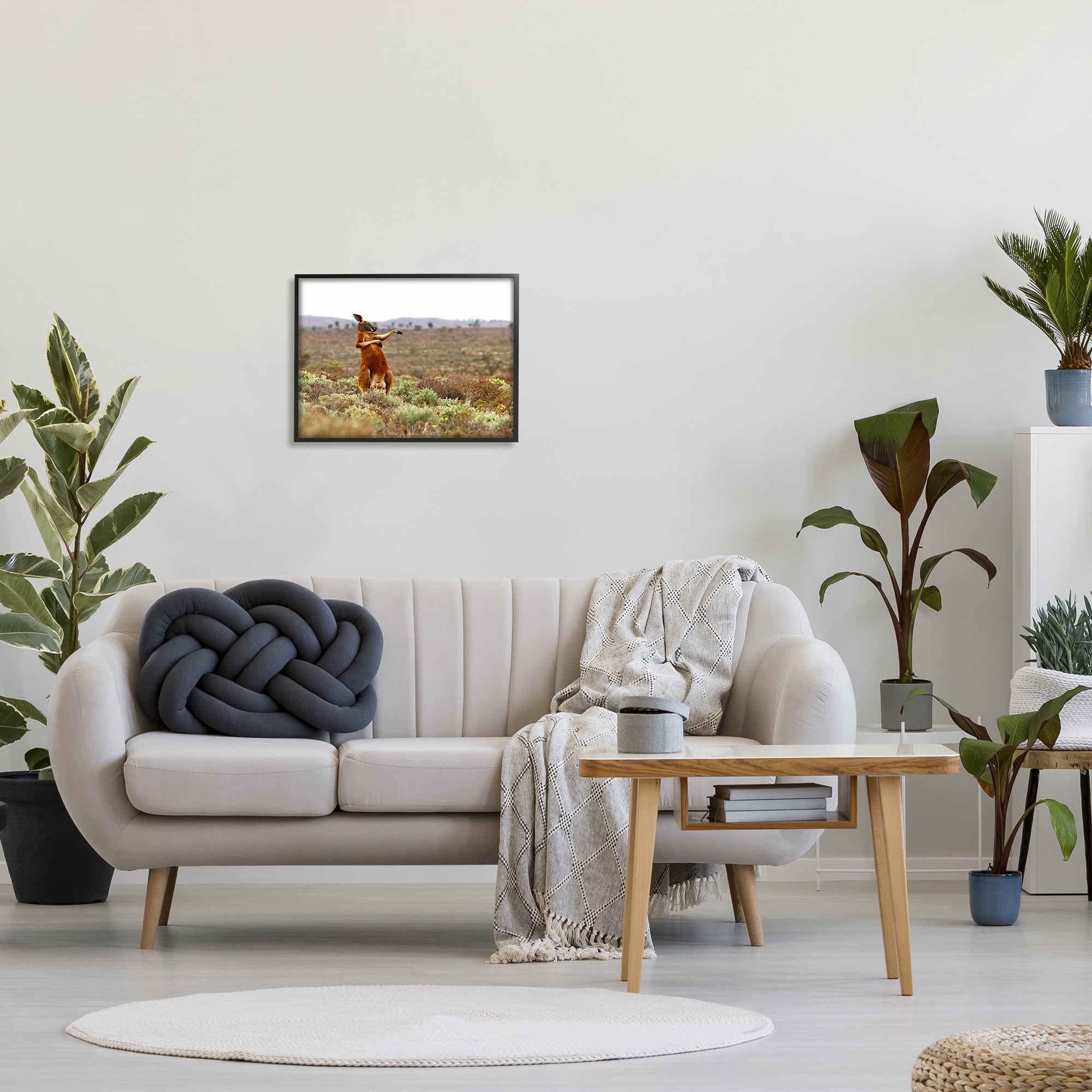 Stupell Industries Kangaroo Savanna Landscape Animals & Insects Photography Black Framed Art Print Wall Art, 20 x 16