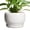 Glossy White, variant on Ordivic 6 inch Glossy White Ceramic Planter with Saucer & Drainage Hole, Small Round Plant Pot for Indoor Orchids,Home Outdoor Decor