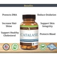 thumbnail image 3 of Catalase 12,500 Catu (500mg) Supplement Potent Antioxidant (Vegan) by Suzy Cohen, 3 of 7