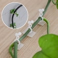thumbnail image 5 of Organizador de ganchos autoadhesivos para pared de escalada sin clavos y sin costuras para el hogar, fijador de rosas verdes, planta verde, 5 of 5