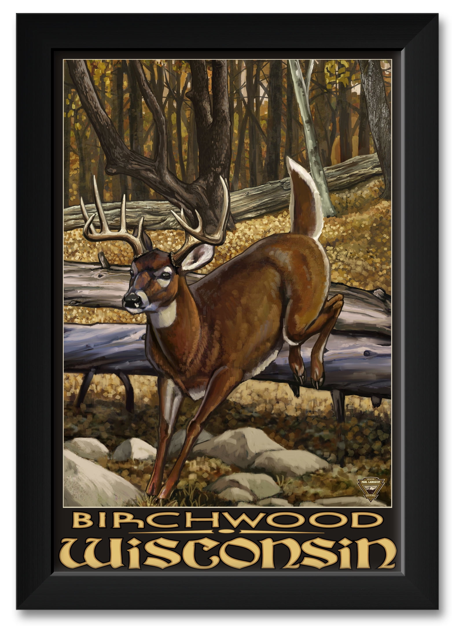 Birchwood Wisconsin Framed Art Print by Paul A. Lanquist. Print Size