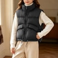 thumbnail image 2 of StSilkitty Puffer Vest for Boys Girls Zip up Sleeveless Stand Collar Jacket Coat Fall Winter Warm Outerwear with Pockets, 2 of 9