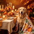 thumbnail image 4 of huayou Fall Pumpkin Print Fluffy Pet Blanket, Soft Warm Plush Fabric, Decoration, for Cat Dog All Season Rest Cover, 39.37x27.56 inch, 4 of 6
