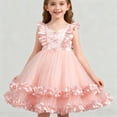 thumbnail image 5 of Cap Sleeve Tulle Birthday Dress – Puff Mesh Gown Ages 2-8, 1st Celebration & Party Wear, Sweet Coordination with Pink Dress for Girls Looks, 5 of 5