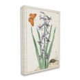 thumbnail image 4 of Stupell Industries Vintage Plant & Beetle Botanical & Floral Painting Gallery Wrapped Canvas Art Print Wall Art, 24 x 30, 4 of 8