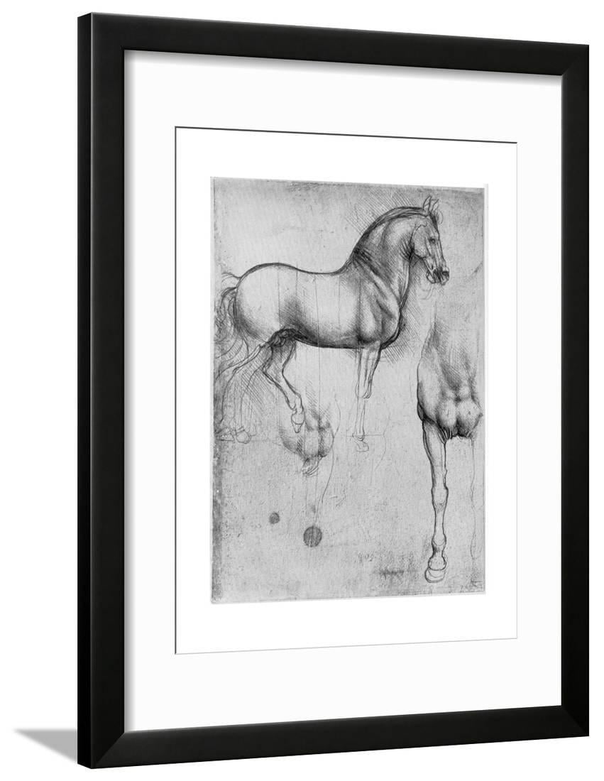 Studies of Horses, C1490 Framed Print Wall Art By Leonardo da Vinci