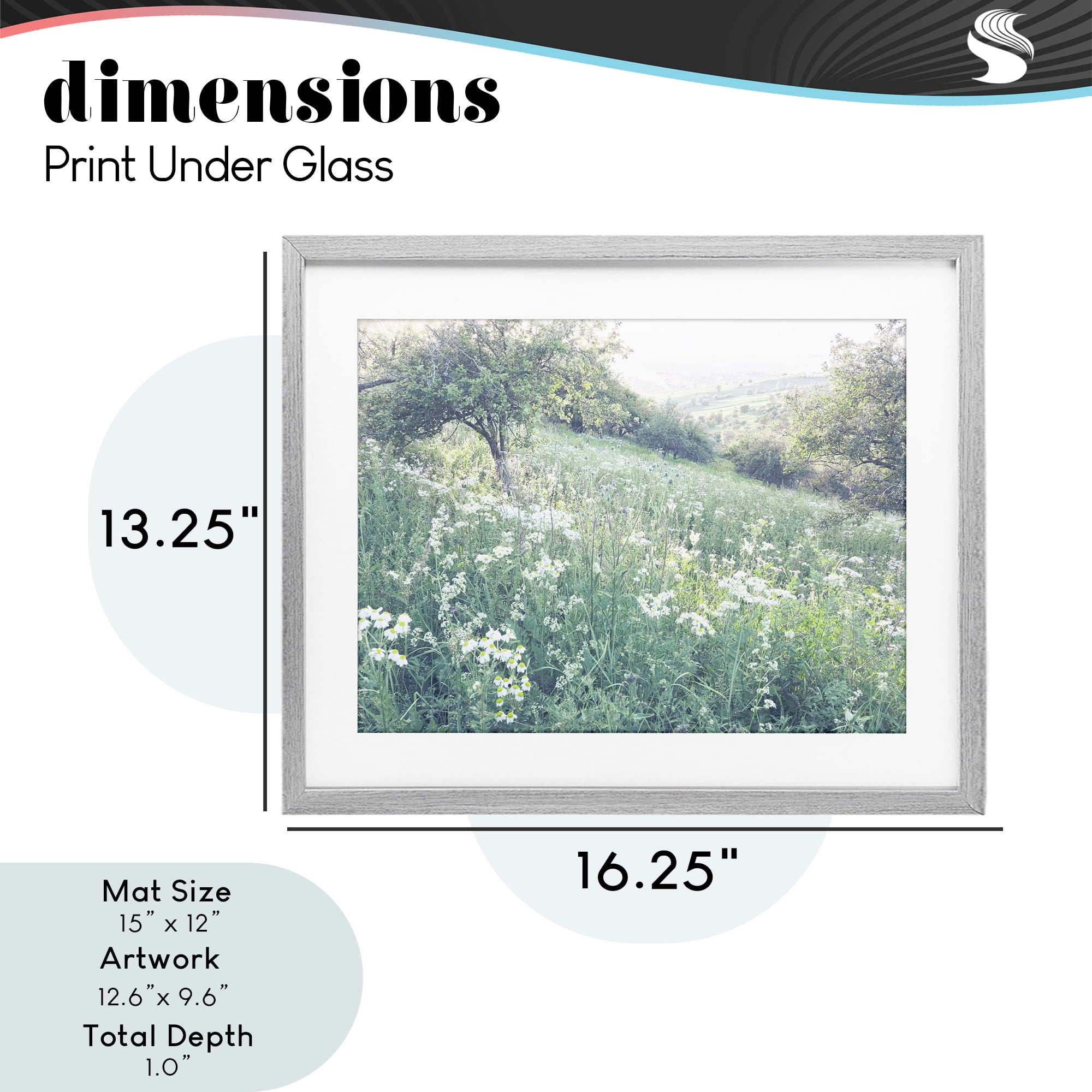 Stupell Industries Sunny Daisies in Meadow Gray Framed Print Under Glass, design by Leah Straatsma
