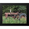 thumbnail image 2 of Deiter, Lori 14x12 Black Modern Framed Museum Art Print Titled - Hidden Gem, 2 of 5
