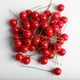 thumbnail image 5 of 100 Uds. de Bayas Artificiales, , Estambres de , Accesorios para El Cabello DIY, Decoración , Accesorios para Fot rojo, 5 of 9