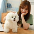thumbnail image 2 of Lindo juguete de peluche con simulación de bichón friso, 2 of 5