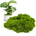 thumbnail image 1 of Musgo artificial Aspamms para plantas en macetas de interior, 150 g, 1 of 7