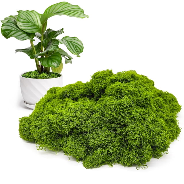 Musgo artificial Aspamms para plantas en macetas de interior, 150 g