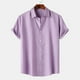thumbnail image 5 of Camisa de manga corta de verano para hombre, color liso y solapa - Estilo sencillo y moderno, poliéster, para todas las estaciones, 5 of 7