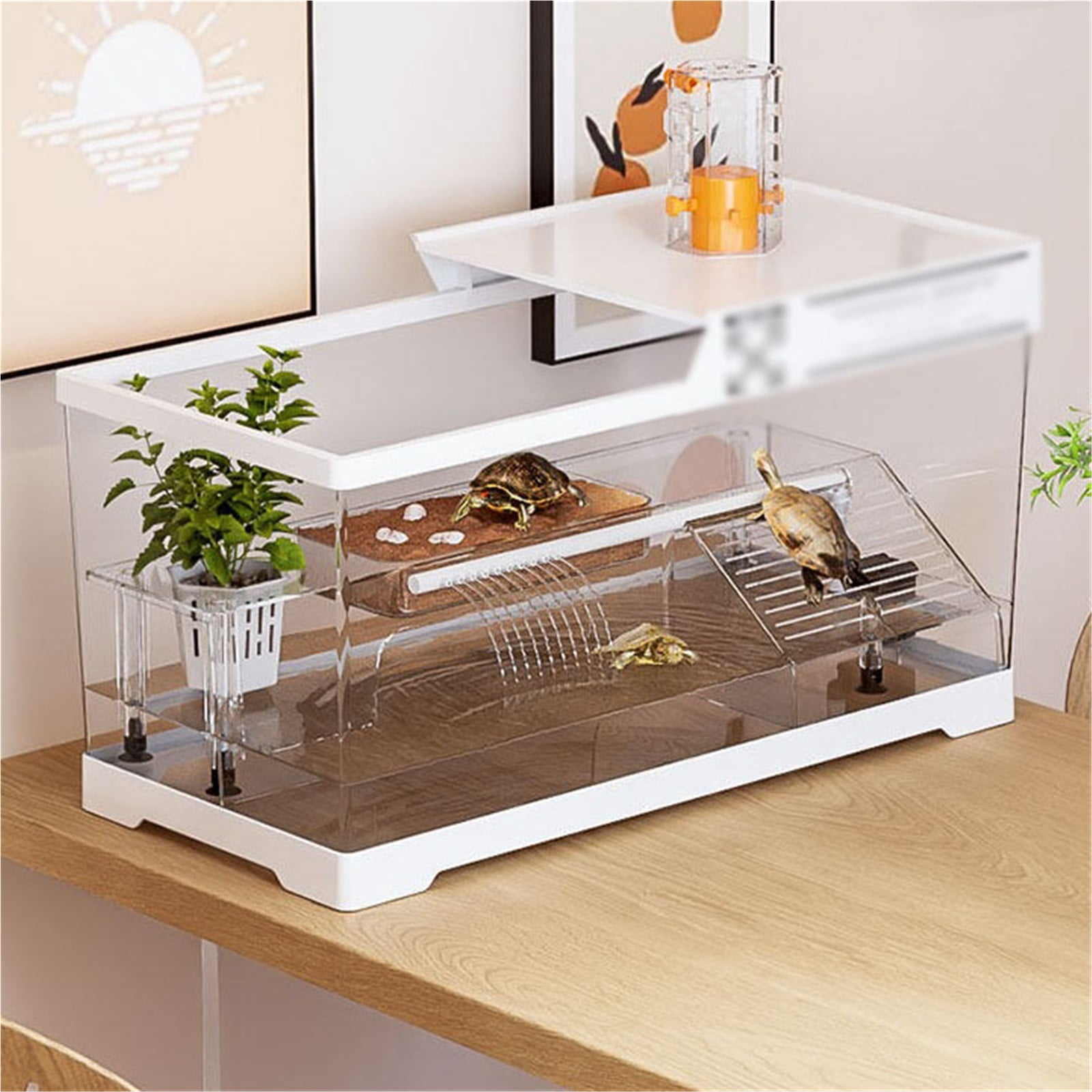 Small turtle tank with sun drying platform climbing platform dedicated feeding