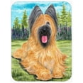 thumbnail image 1 of Carolines Treasures SS8035LCB Briard Glass Cutting Board - Large, 1 of 1