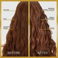 thumbnail image 3 of L'Oréal Paris Le Color Gloss, Gloss pour Cheveux en 1 Étape, 3 of 8
