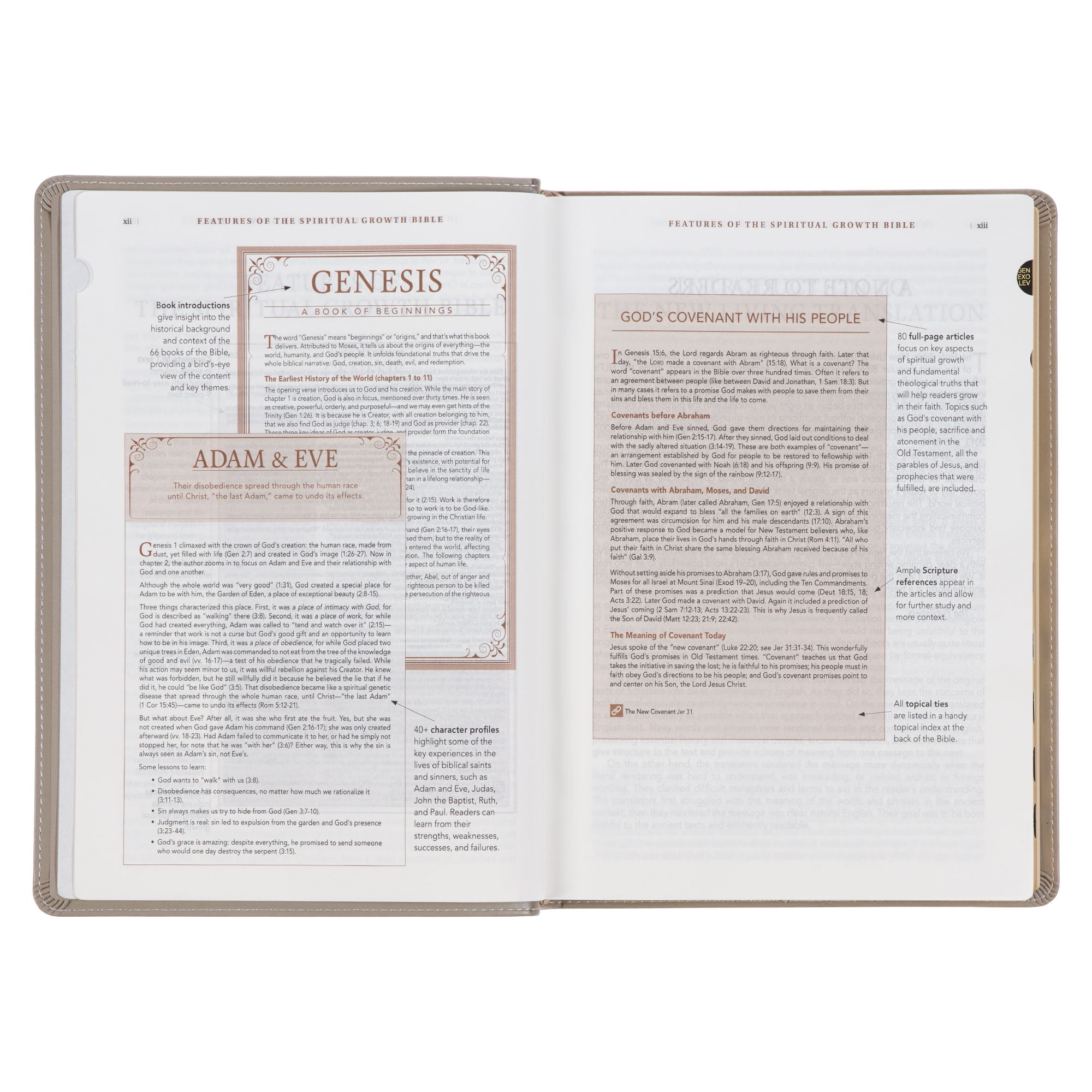 英語版 聖書 スタディーバイブル New Living Translation 英語版 聖書 スタディーバイブル New Living Translation 英語版