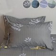 thumbnail image 2 of Fundas de almohada de fibra de poliéster 100% cepillado, impresión suave y acogedora, arrugas, decoloración, resistente a las manchas con cierre de sobre, 1 unidad, 2 of 5