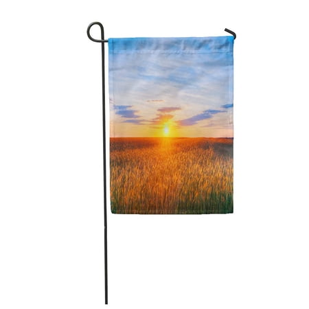 SIDONKU Landscape of Wheat Field Under Scenic Summer Dramatic Sky in Sunset Dawn Sunrise Garden Flag Decorative Flag House Banner 12x18 inch