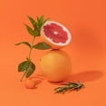 thumbnail image 5 of Compagnie de Provence Savon de Marseille Extra Pure Liquid Soap - Pink Grapefruit - 33.8 fl oz Plastic Bottle Refill, 5 of 5