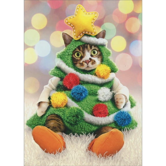 Avanti Press Cat Wearing Decorated Tree Costume and Orange Booties Pack of 10 Christmas Cards