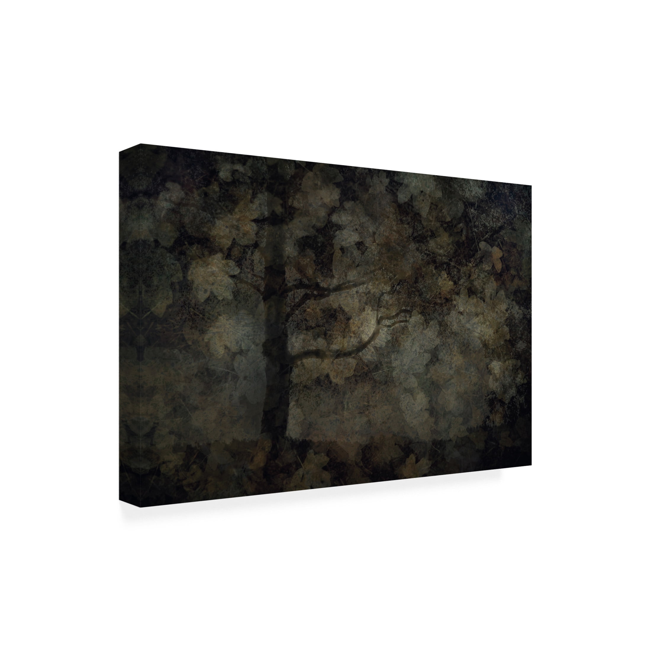 Canvas Wall Art - Jeffrey Hummel 'Dark Forest' Wall Art for Living Room, Bedroom, or Office Décor by Trademark Fine Art - 32 x 22 Inches