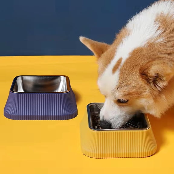 Dog Bowls Cat Bowls Pet Bowls Floating Water Bowl No Wet Chin Anti Wet Mouth Drinker Large Capacity Easy Clean for Cats Dogs Indoor by PALIFEUR