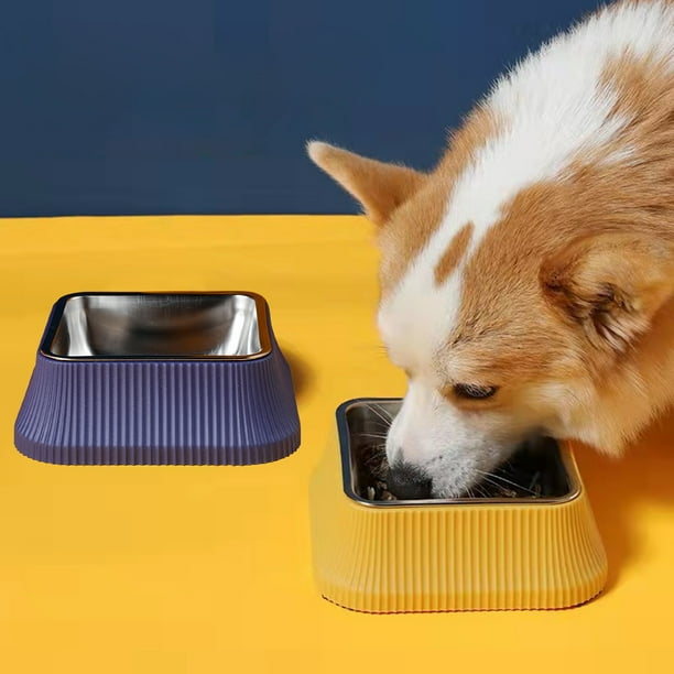 Cuenco para mascotas de acero inoxidable | Diseño de columnas romanas | Cuenco interior extraíble, base antideslizante | Material duradero de grado alimentario | Azul o amarillo | 18x6cm | Limpieza