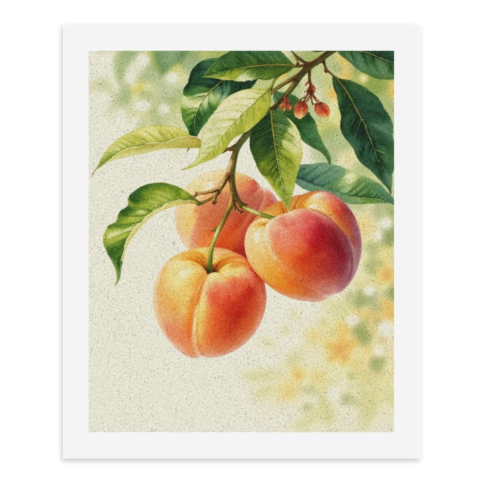 Paint By Numbers Kit for Adults Beginner - DIY Fruit Branch Leaves Natural Art Canvas Painting Kits for Adults, Frameless Paint By Number for Adults for Home Wall Decor 16x20 Inch