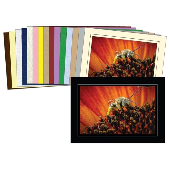 Photo Insert Cards 4x6, 16 Colors - Frameable Greeting Cards, Patented Design, Recycled Cardstock, with Envelopes - DIY Photo Keepsakes for Family, Holidays