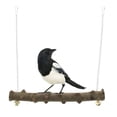 thumbnail image 3 of DOLITY Natural Prickly Wood Stand Perch Swing For Bird Parrot L L, 3 of 9