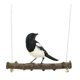 thumbnail image 3 of Pájaro Pinzón Canario Percha de Madera Espinosa Natural, Juguete L, 3 of 9