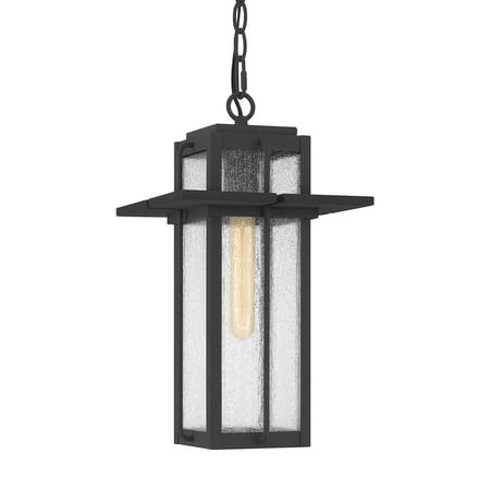 

Quoizel Rdl1509 Randall 9 Wide Mini Pendant - Black