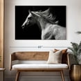 thumbnail image 3 of Elephant Stock Arabian Horse Wall Art - Horizontal Canvas Wall Art - Living Room Wall Decor - Photography Animal Canvas - Black And White Decor - 51" x 34", 3 of 8