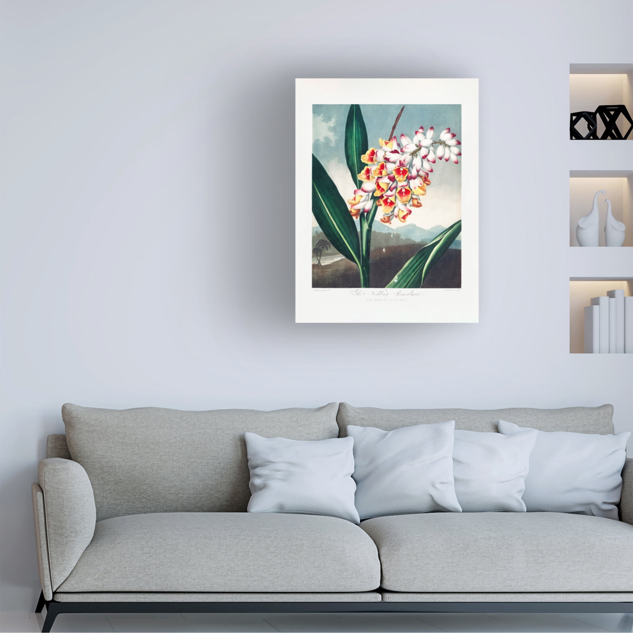 Trademark Fine Art Pictufy The Nodding Renealmia from The Temple of Flora 1807 Canvas Wall Art