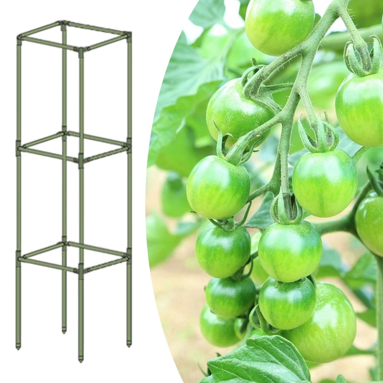 Aymzbd Square Tomato Cage Bean Sturdy Multi Functional Practical Climbing Trellis Plant