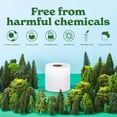 thumbnail image 4 of Papel higiénico Caboo Tree Free, 2 capas, 24 rollos dobles, 300 hojas, 4 of 7