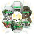 thumbnail image 7 of VOGEK Grow Light for Indoor Plants, Full Spectrum Grow Lamp with Timer, Silver, 7 of 7