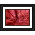thumbnail image 1 of Murdock, Ramona 24x17 Black Ornate Wood Framed with Double Matting Museum Art Print Titled - Peonia Insight I, 1 of 4