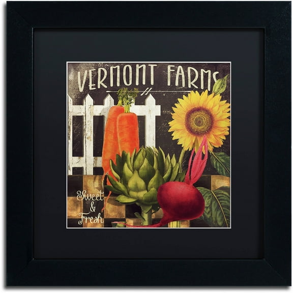 Trademark Fine Art "Vermont Farms VIII" Canvas Art by Color Bakery Black Matte, Black Frame