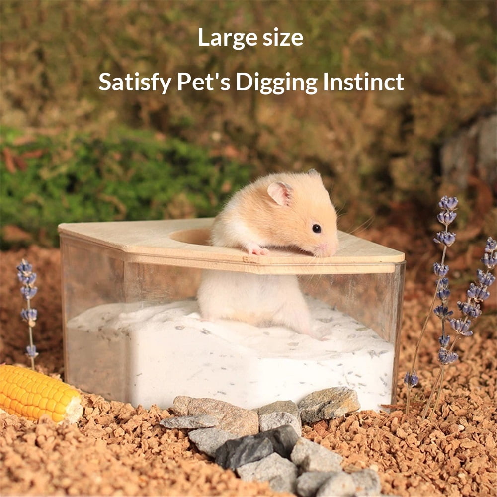 Large transparent small animal sand bath container and hamster accessories with natural wooden lid, suitable for hamsters, mice, and lemurs.