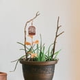 thumbnail image 3 of Iron Mini Bird Cage for Decorative Use Bring Joy to DIY Micro Landscaping Art 1PC Brown, 3 of 8