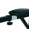 thumbnail image 2 of Soozier Wall-Mounted workout station, 2 of 2